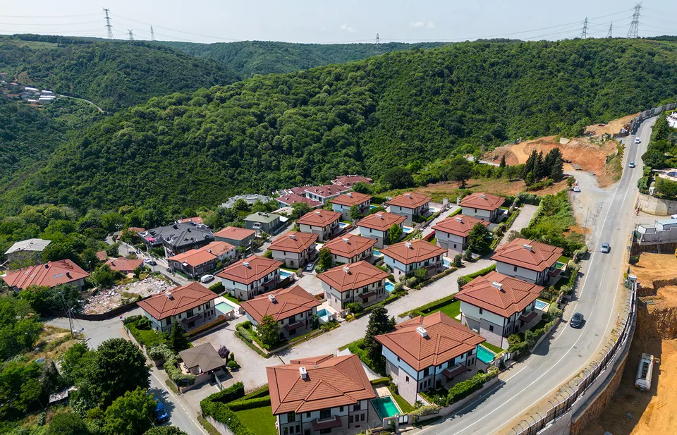 Boğaziçi orman vadisi